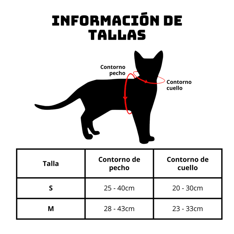 ARNÉS + CORREA PARA GATO