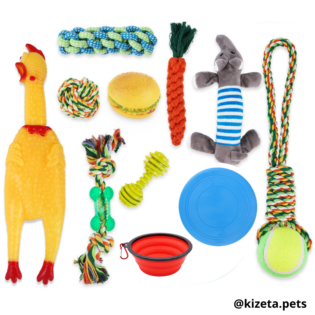 KIT DE 11 JUGUETES PARA PERRO